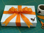 Pacco Regalo